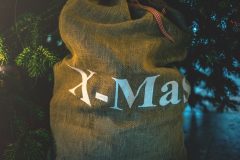 pexels-lumn-243021