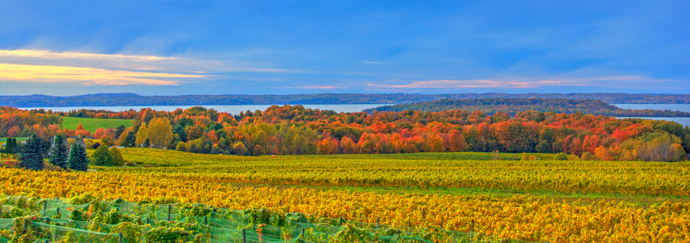 Fun Weekend Trip in Your State: vineyard-Traverse City, Michigan